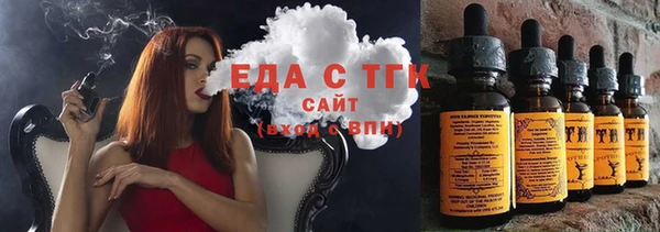 индика Медногорск