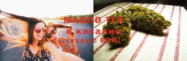 индика Медногорск