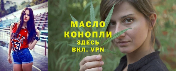 индика Медногорск