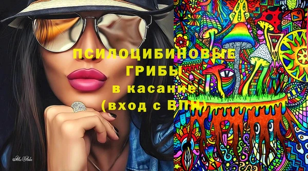 ГАЛЛЮЦИНОГЕННЫЕ ГРИБЫ Магас