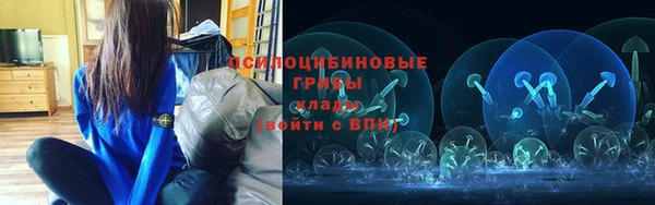 ПСИЛОЦИБИНОВЫЕ ГРИБЫ Медвежьегорск
