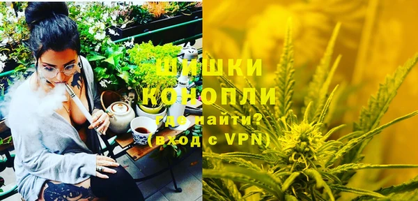 ГАЛЛЮЦИНОГЕННЫЕ ГРИБЫ Магас