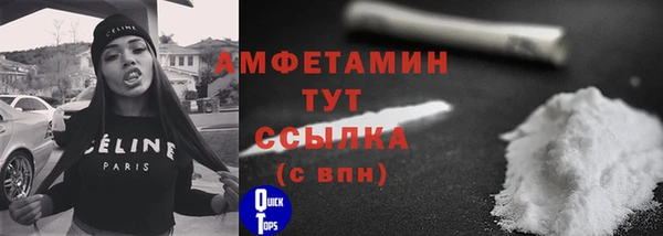 индика Медногорск