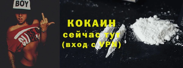 ГАЛЛЮЦИНОГЕННЫЕ ГРИБЫ Магас