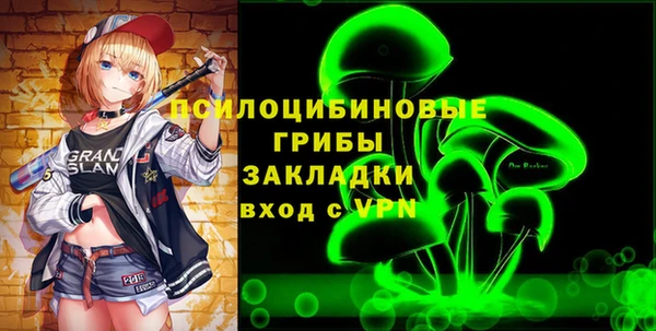 индика Медногорск