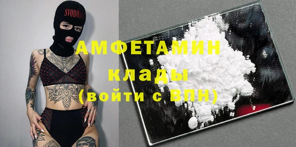 индика Мегион