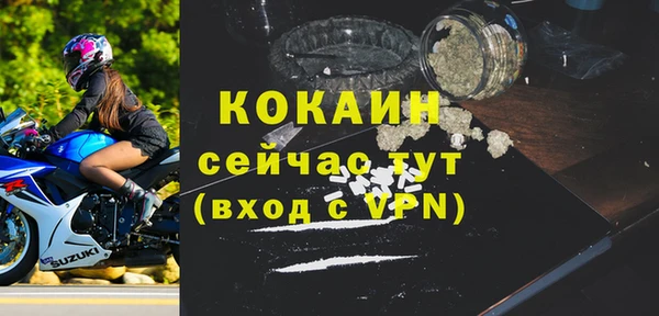индика Мегион