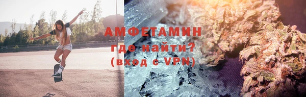 индика Мегион