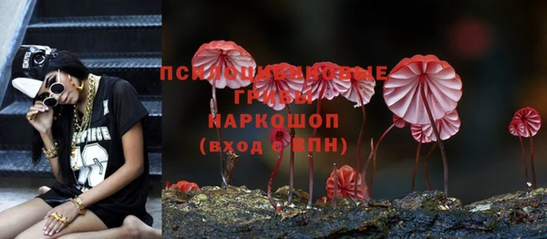 ГАЛЛЮЦИНОГЕННЫЕ ГРИБЫ Магас