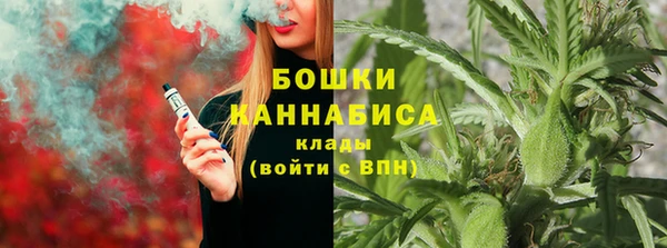 PSILOCYBIN Вяземский