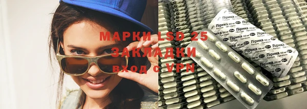 индика Мегион
