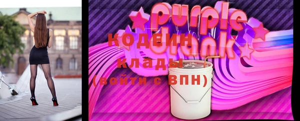индика Мегион