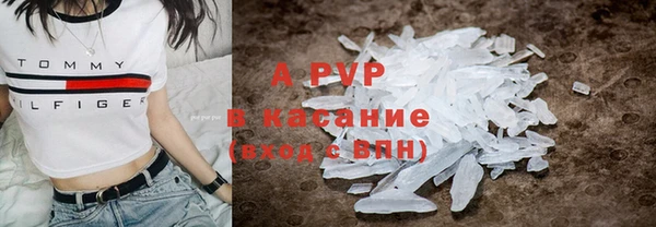 ГАЛЛЮЦИНОГЕННЫЕ ГРИБЫ Магас